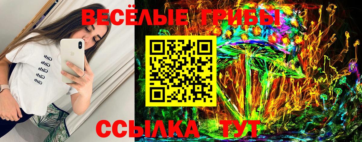 Галлюциногенные грибы Psilocybe  Псилоцибиновые грибы прущие грибы  Майкоп  Вход с VPN 