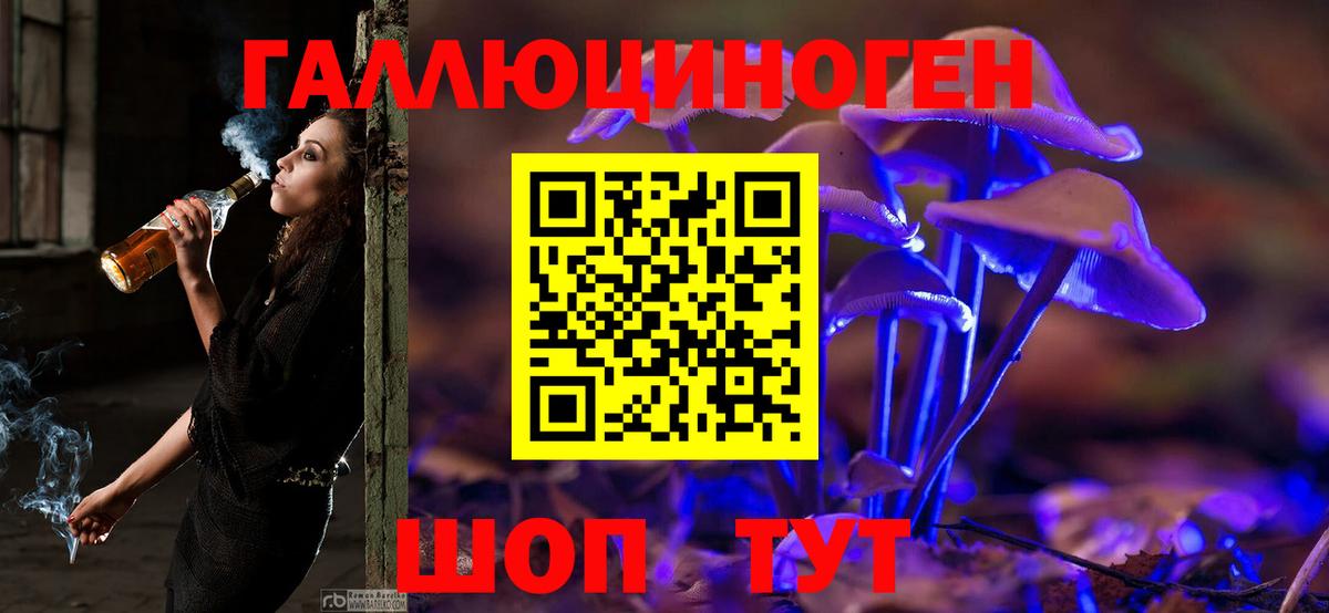Галлюциногенные грибы Psilocybine cubensis Майкоп